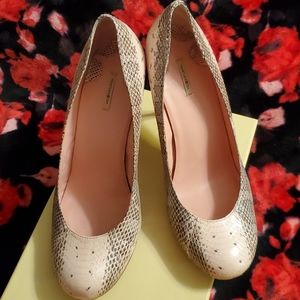 Max Studio Real Snake